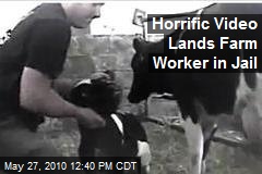 Horrific Video Lands Farm Worker in Jail