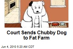 Court Sends Chubby Dog to Fat Farm