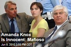Amanda Knox Is Innocent: Mafioso