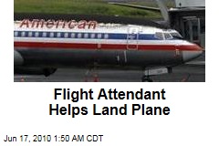 Flight Attendant Helps Land Plane