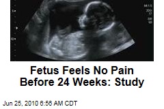 Fetus Feels No Pain Before 24 Weeks: Study