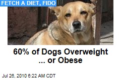 Fetch a Diet, Fido