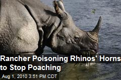 Rancher Poisoning Rhino's Horns To Stop Poaching