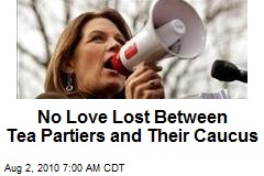 No Love Lost Between Tea Partiers and Their Caucus