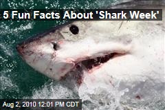 5 Fun Facts About 'Shark Week'