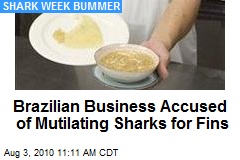 Brazilian Business Accused of Mutilating Sharks for Fins