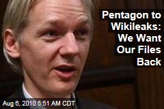 Pentagon to Wikileaks: We Want Our Files Back