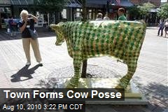 Town Forms Cow Posse