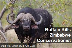Buffalo Kills Zimbabwe Conservationist