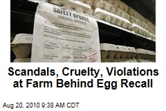 Scandals, Cruelty, Violations at Farm Behind Egg Recall
