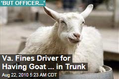 Va. Fines Driver for Having Goat ... in Trunk