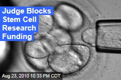 Judge Blocks Stem Cell Research Funding