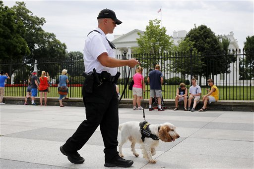 Secret Service starts K-9 patrols near White House