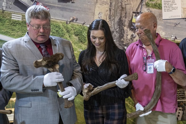 Mastodon bones unearthed by Michigan work crew go on display in museum
