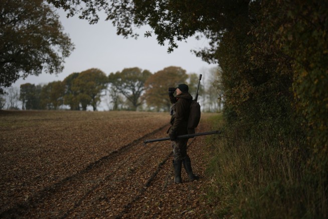 Too many wild deer are roaming England's forests. Can promoting venison to consumers help?