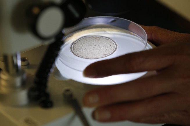 Yoga pants, cozy clothes may be key source of sea pollution