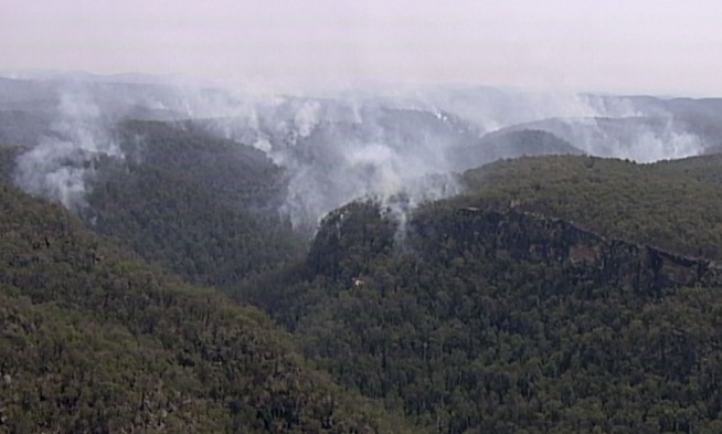 Thousands of koalas feared dead in Australia wildfires