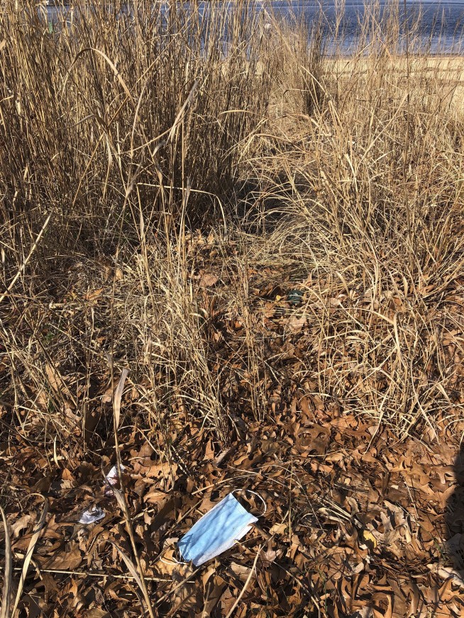 Discarded masks litter beaches worldwide, threaten sea life