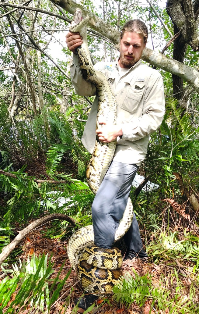 Florida team hauls in 18-foot, 215-pound Burmese python
