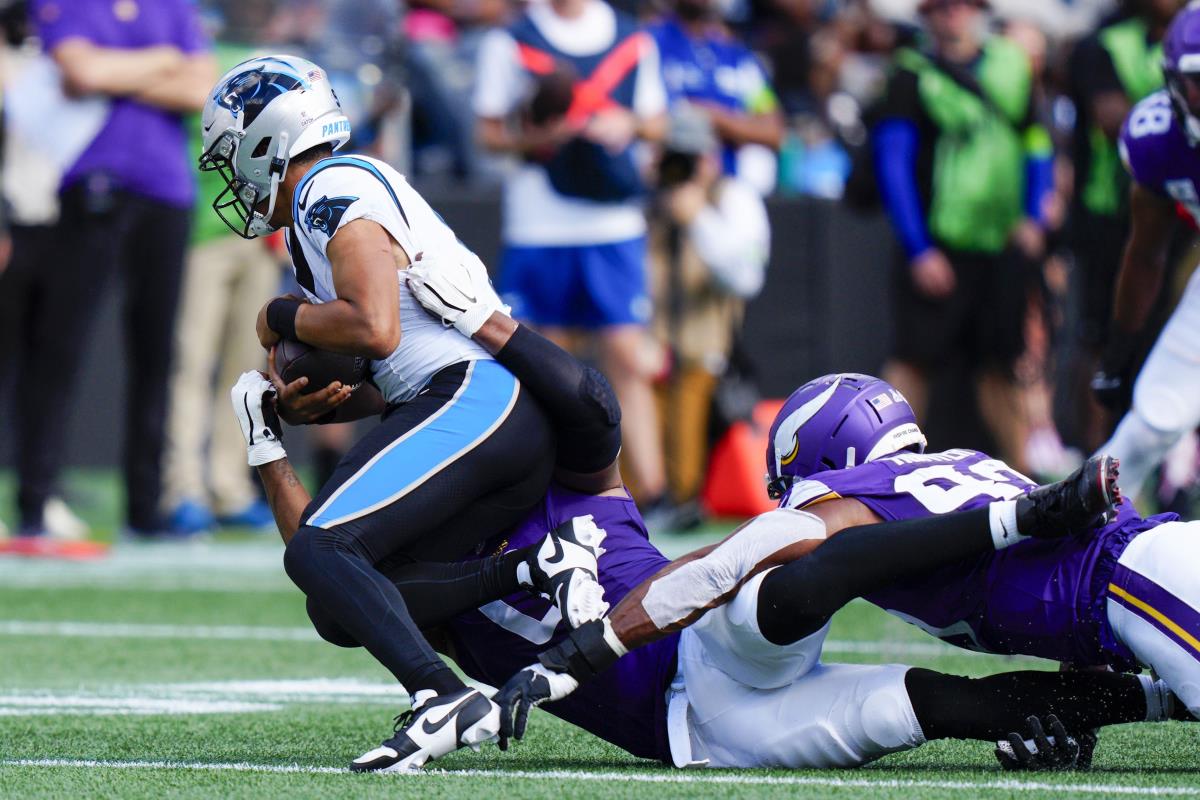 Vikings get 5 sacks, defeat Panthers 21-13