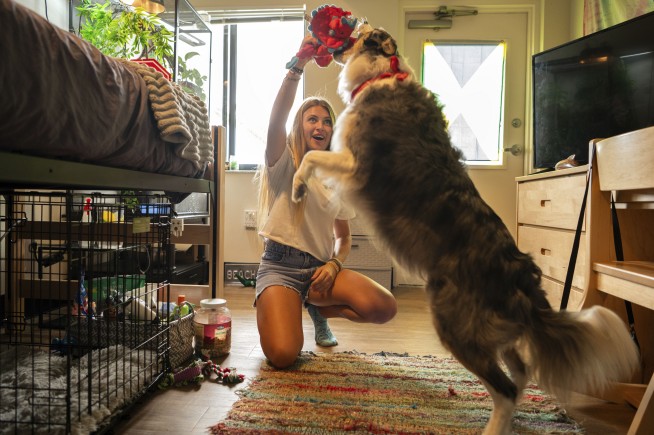 These colleges are welcoming pets in dorms to reduce students' stress and anxiety