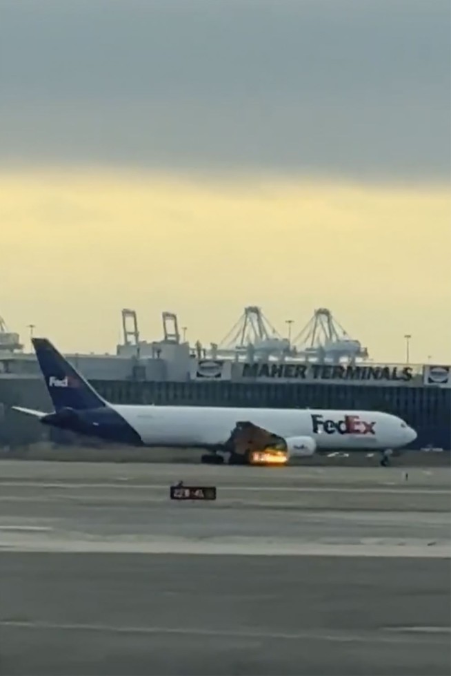 FedEx cargo plane makes emergency landing following bird strike and engine fire