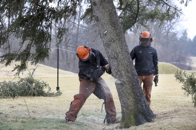 Golf's famous 'Hinkle Tree' from '79 Open uprooted by wind