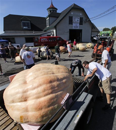 How do you grow a 2,000-pound pumpkin? It's complicated