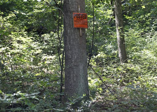 Zimbabwe alleges 2nd American illegally hunted lion