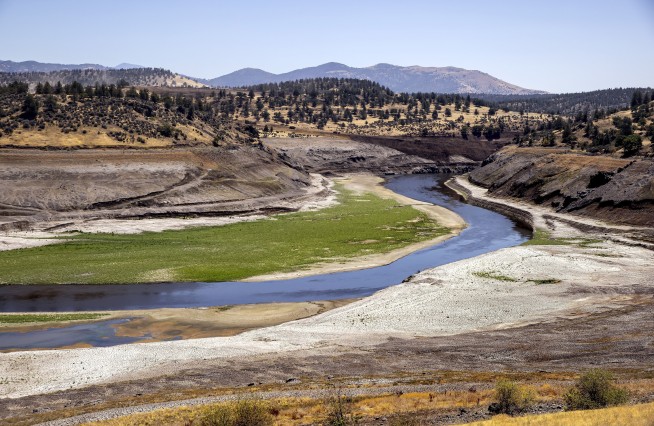 Salmon swim freely in the Klamath River for 1st time in a century after dams removed