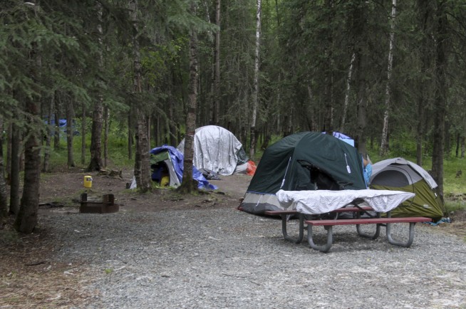4 bears killed in Alaska campground reserved for homeless