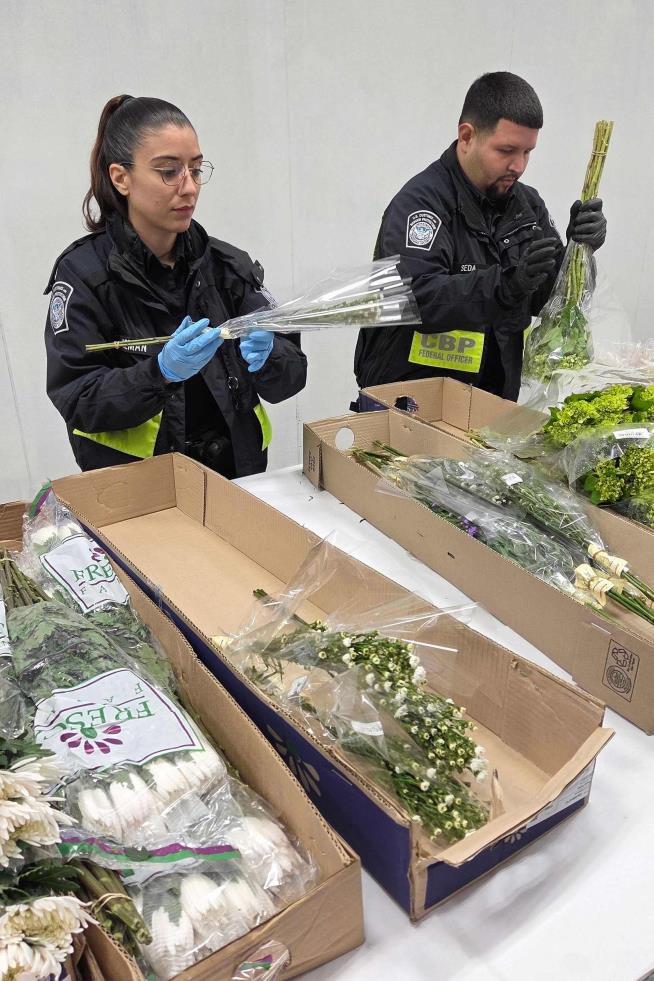 Valentine flower imports increase at Miami airport, despite tariffs and higher costs, officials say