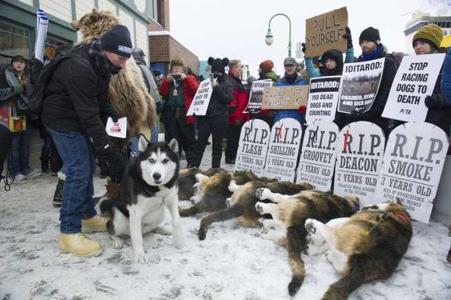 Iditarod looks for relevance as race across Alaska starts