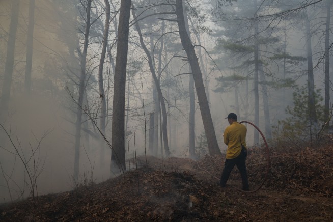 Firefighters make progress on containing some Carolina wildfires, but others grow