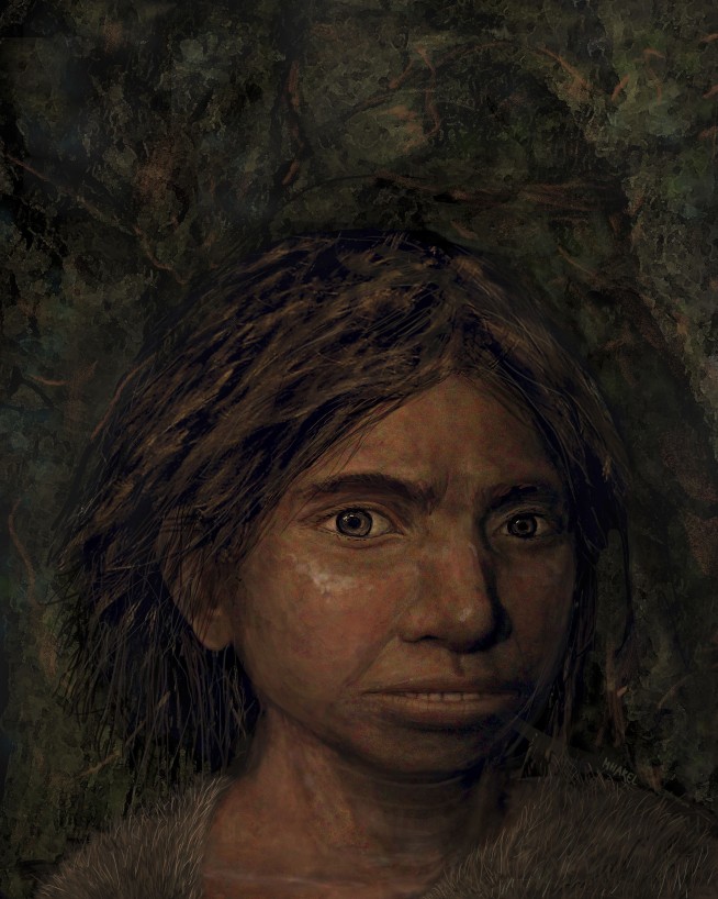 From DNA, scientists create skull of Neanderthal cousin