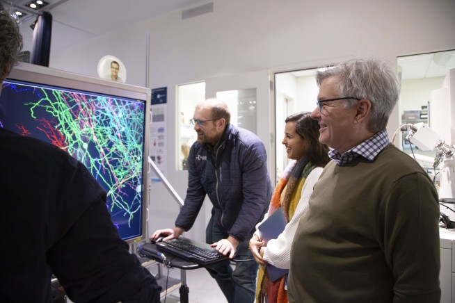 Scientists map part of a mouse's brain that's so complex it looks like a galaxy