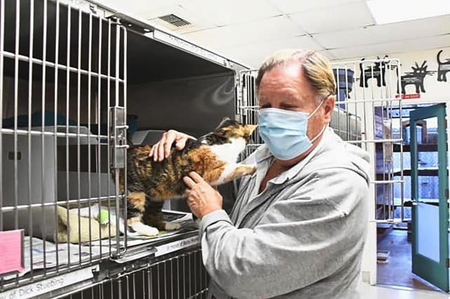 Missing cat turns up 3 years after California disaster