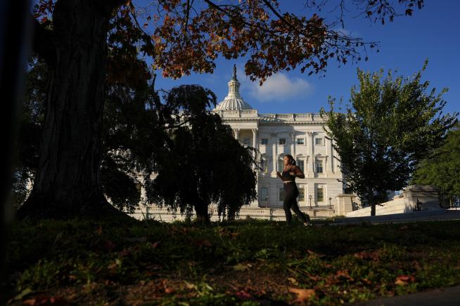 Drought has muted this year's leaf-peeping season, but pockets of brilliant colors remain