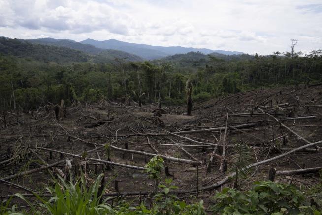 As Amazon's 'flying rivers' weaken with tree loss, scientists warn of worsening droughts