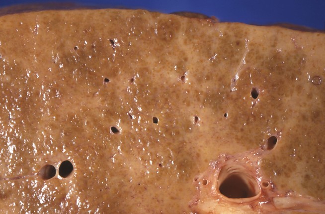 US drinking more now than just before Prohibition