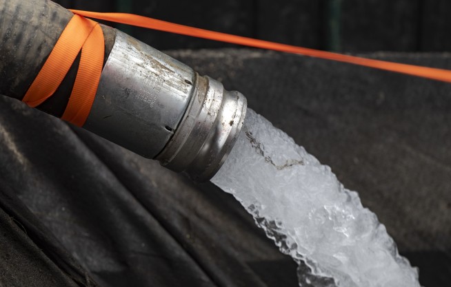 California nixing algae that crowds out food for sea animals