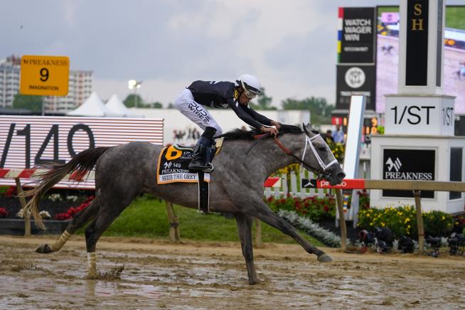 Seize the Grey wins the Preakness for D. Wayne Lukas and ends Mystik ...