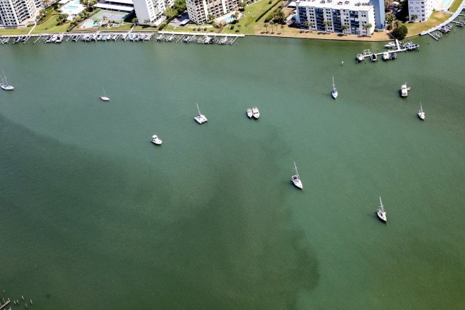 Burning eyes, dead fish; red tide flares up on Florida coast