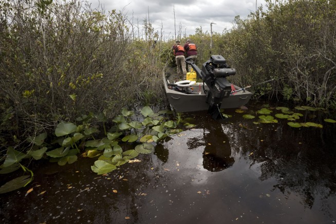 U.S. to nominate Okefenokee Swamp refuge for listing as UNESCO World Heritage site