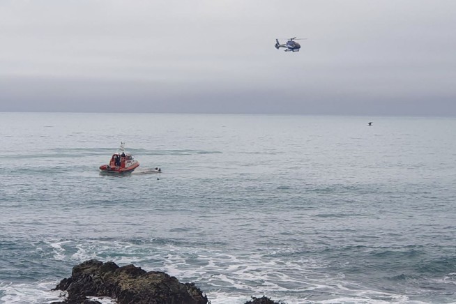 5 dead after New Zealand boat flips in possible whale strike