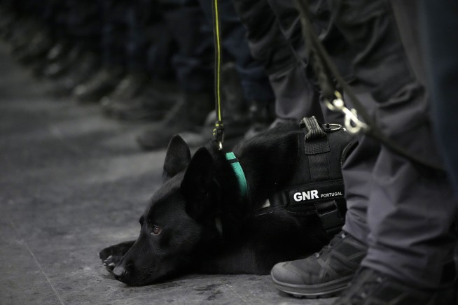 Death toll in Turkey, Syria earthquake rises, hope fades