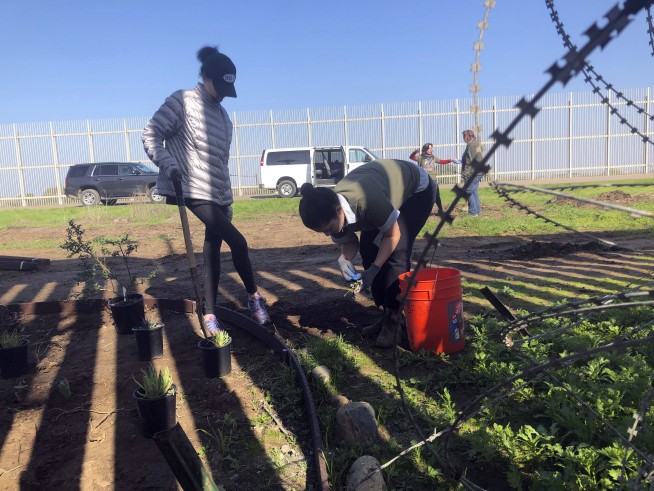 Border Patrol allows replanting after bulldozing garden