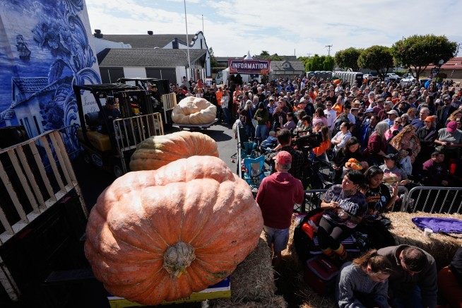 California engineer wins pumpkin contest with 2,346-pound gourd
