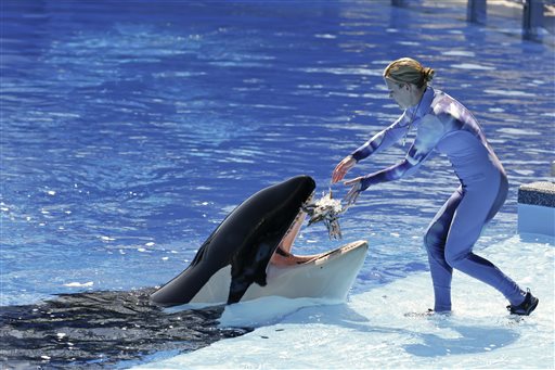 Some SeaWorld mammals survive longer in captivity