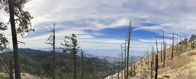 Study: Warming makes US West megadrought worst in modern age